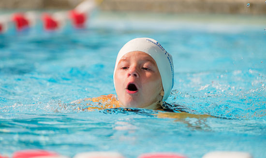 Bild von Schwimmkurs Intensive Pinguin bis Eisbär
